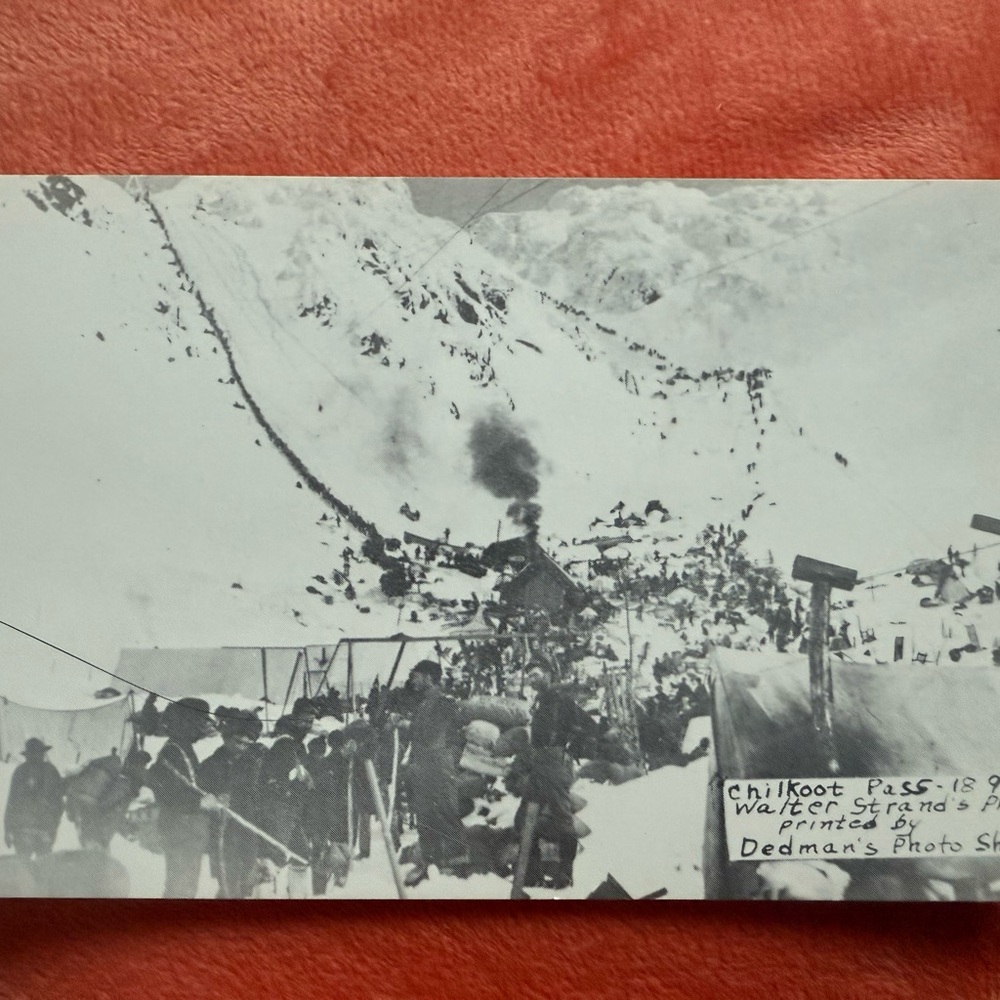 Alaska Postcard Collection - Picture 3 of 16